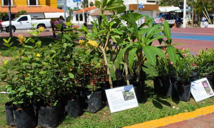 Kilo Verde y Croquetón llegará al Centro y Villas del Sol – Punta Sur